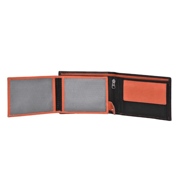 WL-001 - Image 4